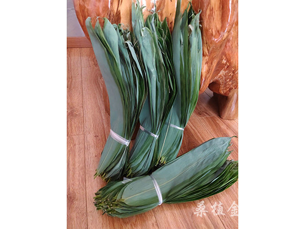 不同規(guī)格粽葉