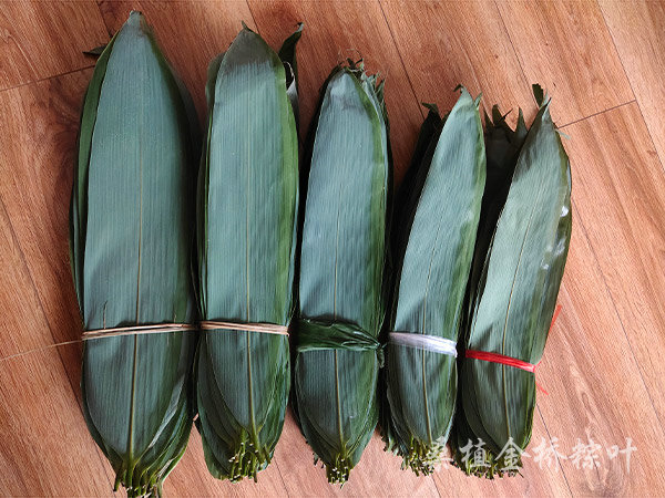不同規(guī)格粽葉