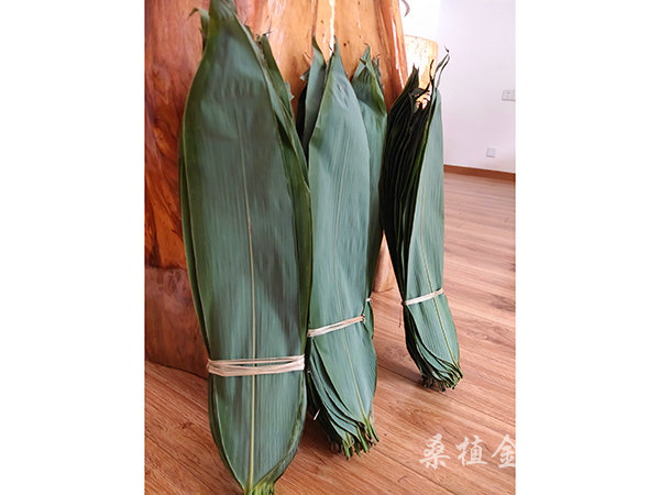 不同規(guī)格粽葉