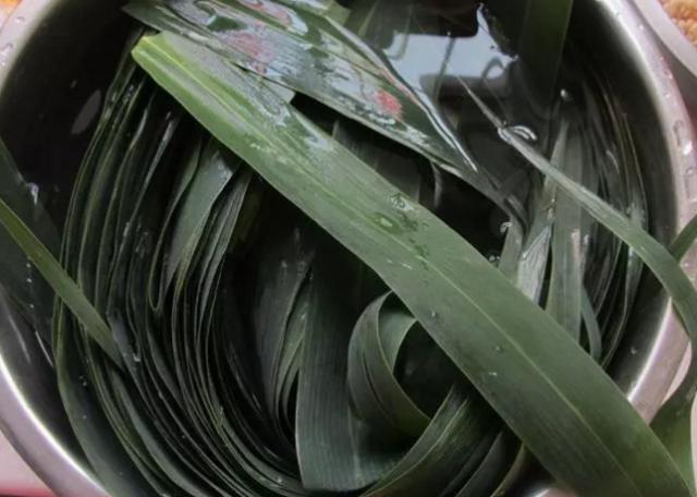 新手不懂怎么處理粽葉？多加這1步，粽葉柔軟有彈性，還不漏米.
