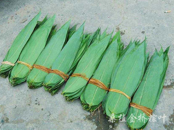 不同規(guī)格粽葉