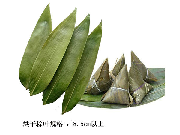 不同規(guī)格粽葉