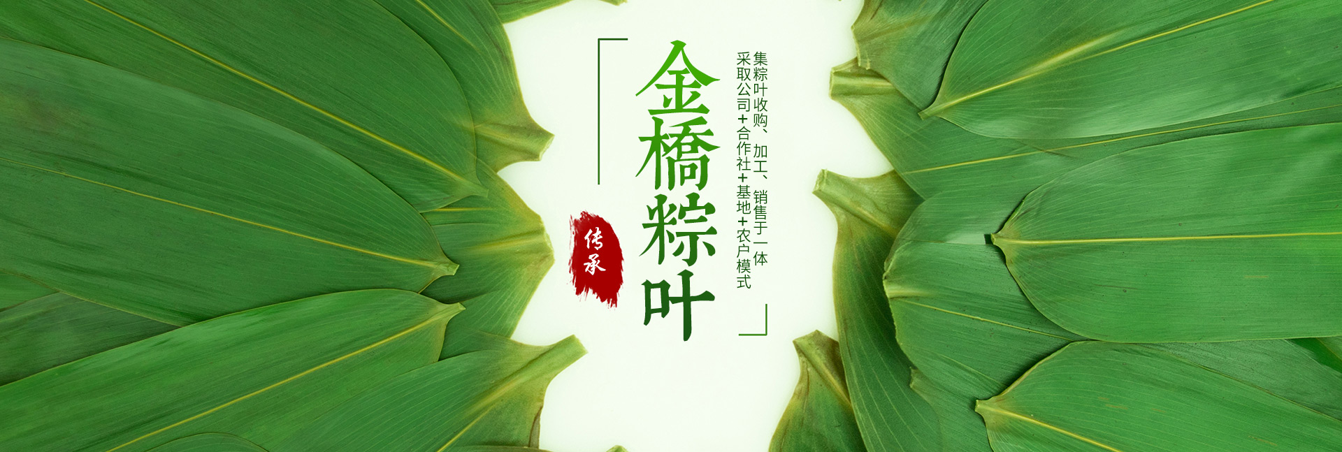 桑植金橋農(nóng)產(chǎn)品有限責(zé)任公司_桑植粽葉收購(gòu)|桑植粽葉加工