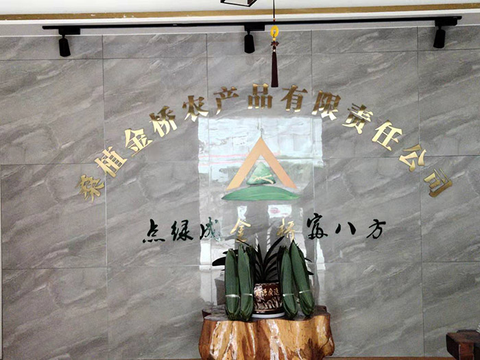 桑植金橋粽葉收購,桑植金橋粽葉加工,桑植金橋粽葉銷售,桑植金橋粽葉