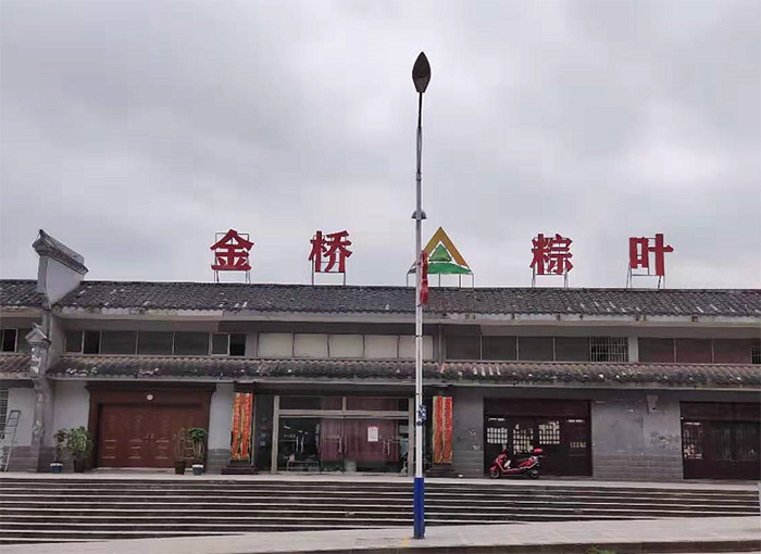 桑植金橋粽葉收購,桑植金橋粽葉加工,桑植金橋粽葉銷售,桑植金橋粽葉