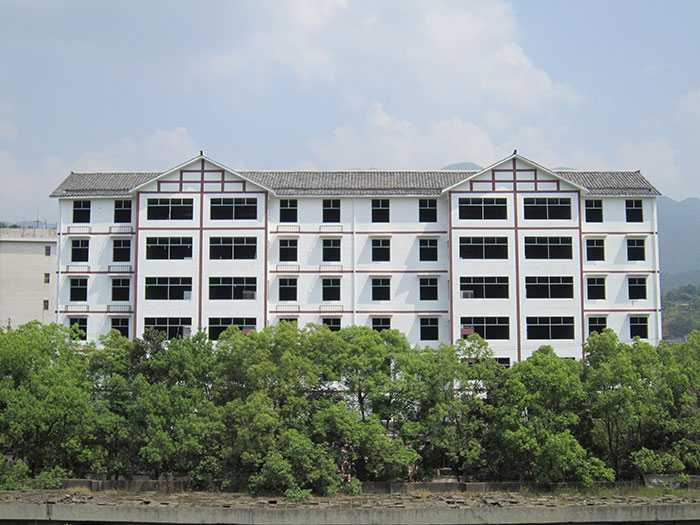 桑植金橋粽葉收購,桑植金橋粽葉加工,桑植金橋粽葉銷售,桑植金橋粽葉