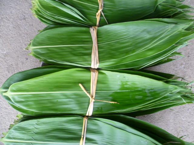 桑植金橋粽葉收購(gòu),桑植金橋粽葉加工,桑植金橋粽葉銷售,桑植金橋粽葉