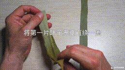 桑植金橋粽葉收購,桑植金橋粽葉加工,桑植金橋粽葉銷售,桑植金橋粽葉 桑植金橋粽葉收購,桑植金橋粽葉加工,桑植金橋粽葉銷售,桑植金橋粽葉