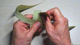 桑植金橋粽葉收購,桑植金橋粽葉加工,桑植金橋粽葉銷售,桑植金橋粽葉 桑植金橋粽葉收購,桑植金橋粽葉加工,桑植金橋粽葉銷售,桑植金橋粽葉