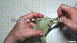 桑植金橋粽葉收購,桑植金橋粽葉加工,桑植金橋粽葉銷售,桑植金橋粽葉 桑植金橋粽葉收購,桑植金橋粽葉加工,桑植金橋粽葉銷售,桑植金橋粽葉