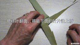 桑植金橋粽葉收購,桑植金橋粽葉加工,桑植金橋粽葉銷售,桑植金橋粽葉 桑植金橋粽葉收購,桑植金橋粽葉加工,桑植金橋粽葉銷售,桑植金橋粽葉