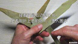 桑植金橋粽葉收購,桑植金橋粽葉加工,桑植金橋粽葉銷售,桑植金橋粽葉 桑植金橋粽葉收購,桑植金橋粽葉加工,桑植金橋粽葉銷售,桑植金橋粽葉