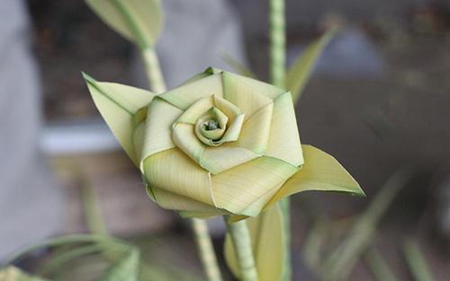 桑植金橋粽葉收購,桑植金橋粽葉加工,桑植金橋粽葉銷售,桑植金橋粽葉 桑植金橋粽葉收購,桑植金橋粽葉加工,桑植金橋粽葉銷售,桑植金橋粽葉