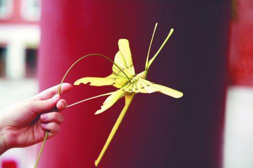 桑植金橋粽葉收購,桑植金橋粽葉加工,桑植金橋粽葉銷售,桑植金橋粽葉 桑植金橋粽葉收購,桑植金橋粽葉加工,桑植金橋粽葉銷售,桑植金橋粽葉