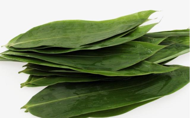 桑植金橋粽葉收購(gòu),桑植金橋粽葉加工,桑植金橋粽葉銷售,桑植金橋粽葉