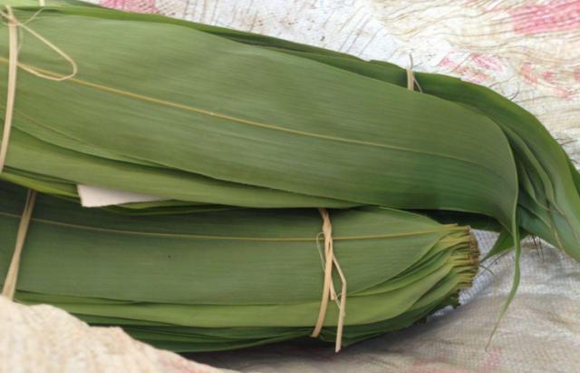 桑植金橋粽葉收購(gòu),桑植金橋粽葉加工,桑植金橋粽葉銷售,桑植金橋粽葉