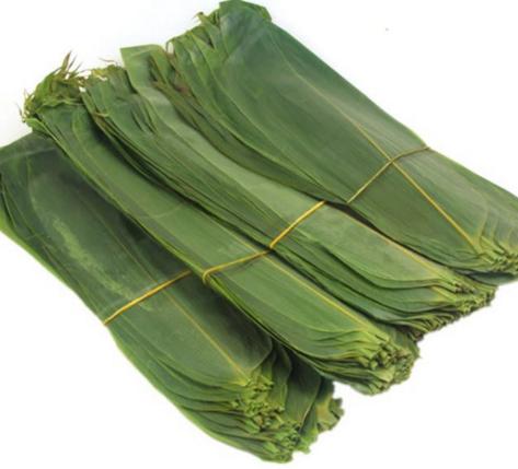 桑植金橋粽葉收購(gòu),桑植金橋粽葉加工,桑植金橋粽葉銷售,桑植金橋粽葉