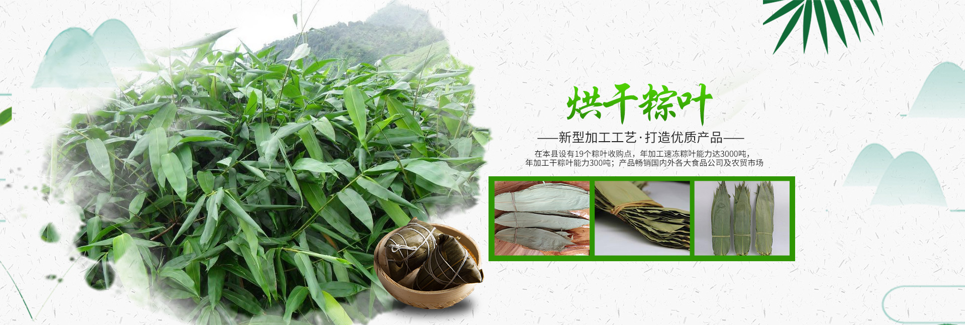 桑植金橋農(nóng)產(chǎn)品有限責(zé)任公司_桑植粽葉收購(gòu)|桑植粽葉加工